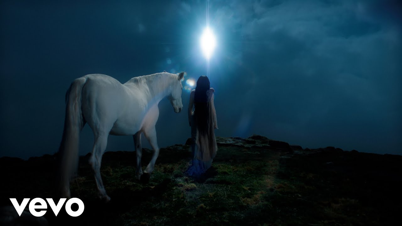 Noah Cyrus, Fleet Foxes - Don't Put It All On Me (Official Video)