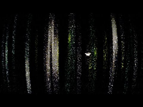Yo La Tengo- "Aselestine" (Official Audio)