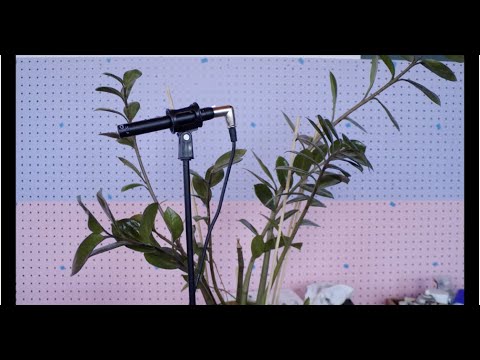 Three New Songs by Ezra Furman