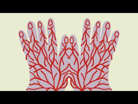 Exit Kid - Basis (Official Video)