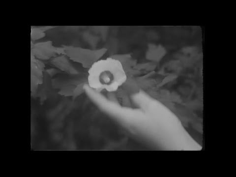 Hovvdy - Blindsided (Official Video)