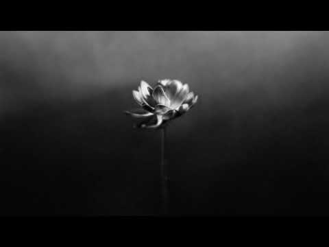 Little Simz - Free (Official Audio)