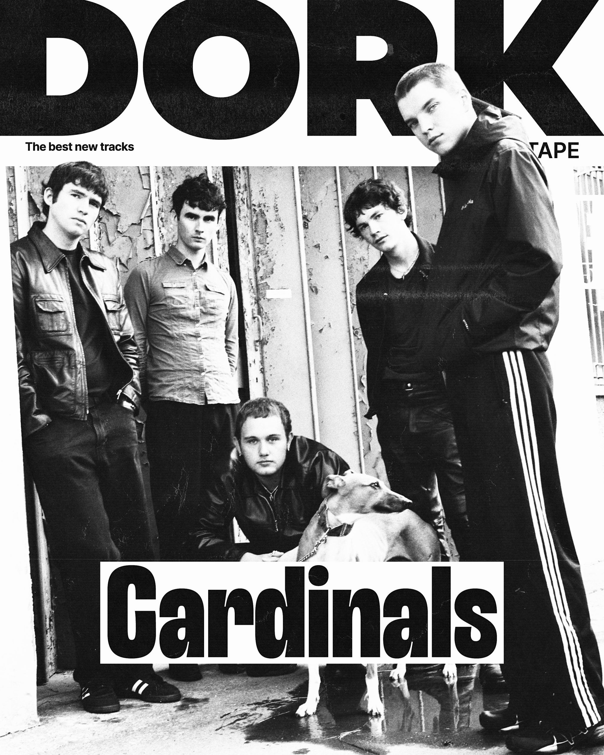 Hype List 2025: Cardinals are doing things their way Hype List 2025: Cardinals are doing things their way