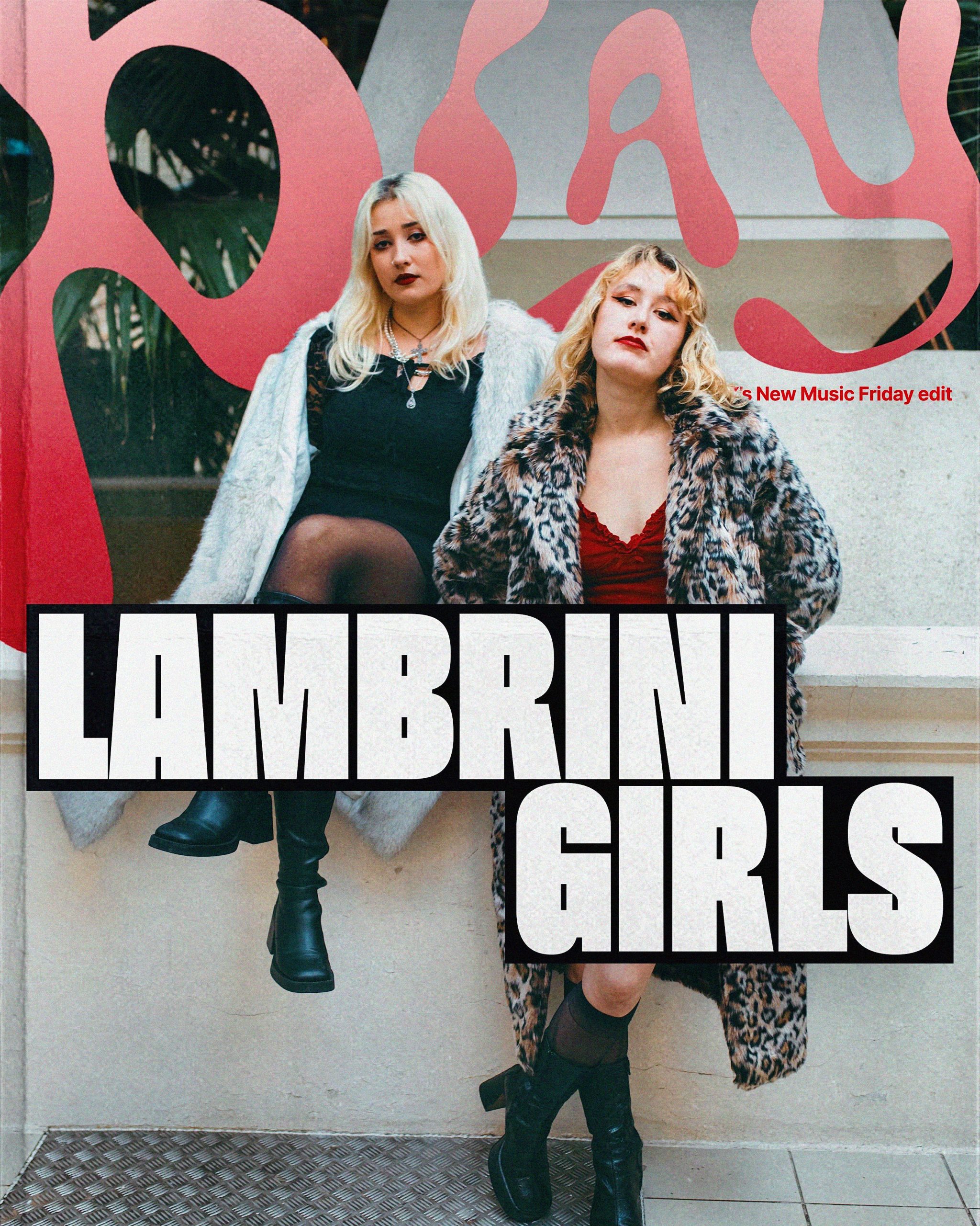 Lambrini Girls turned chaos into their greatest creative weapon for debut album, 'Who Let The Dogs Out'